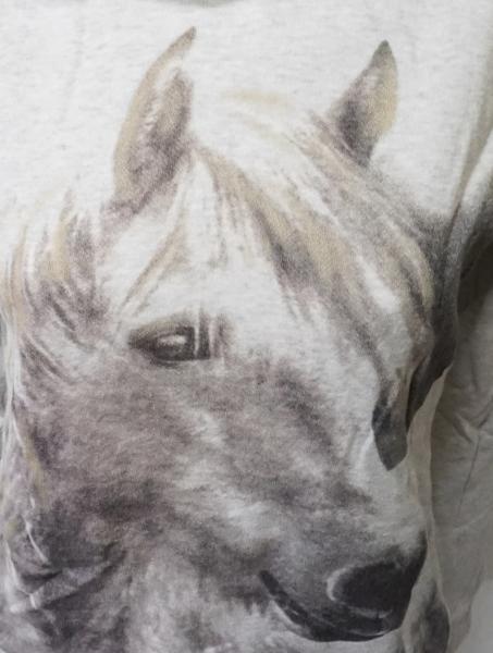 Sweatshirt Gr. 152 von Page Young (4252)